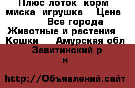 Плюс лоток, корм, миска, игрушка. › Цена ­ 50 - Все города Животные и растения » Кошки   . Амурская обл.,Завитинский р-н